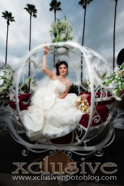 Wedding professional photographer in los angeles