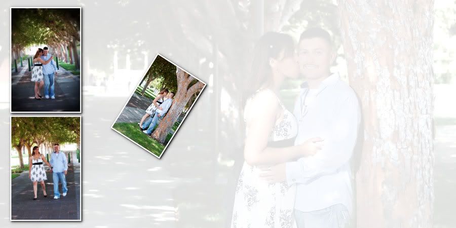 engagement,guestbook,wedding,photosession,love,park,museum,lake