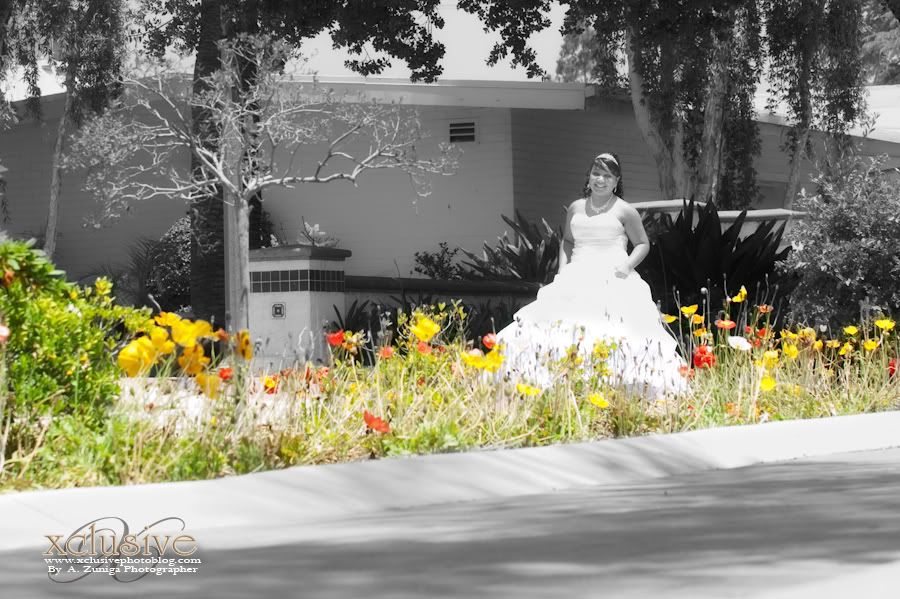 Quinceanera,primera comunion,Azusa city hall,Covina,Iglesia lupita en Irwindale,photo session,vestido blanco de quinceanera