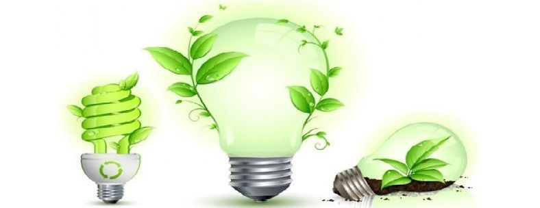  photo green-leaf-and-energy-saving-lamps-vector_18-9115_zpsd7cf4379.jpg