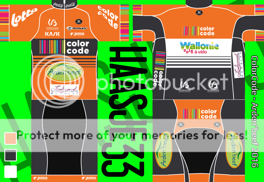 i878.photobucket.com/albums/ab343/haasje33/16colorcode_maillot.png