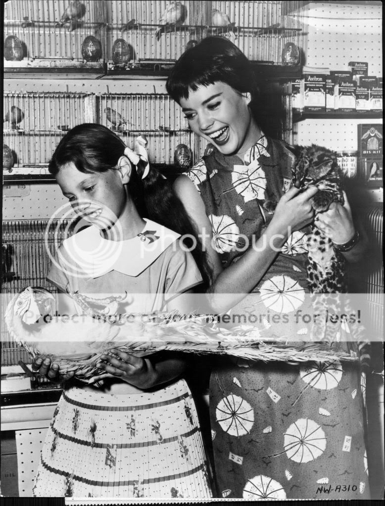 Պատկեր:Natalie Wood and Lana Wood 1956.jpg - Վիքիպեդիա՝ ազատ հանրագիտարան